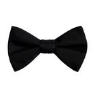 Bow Tie