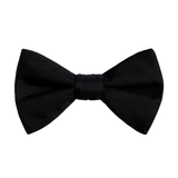 Bow Tie