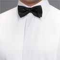 Bow Tie